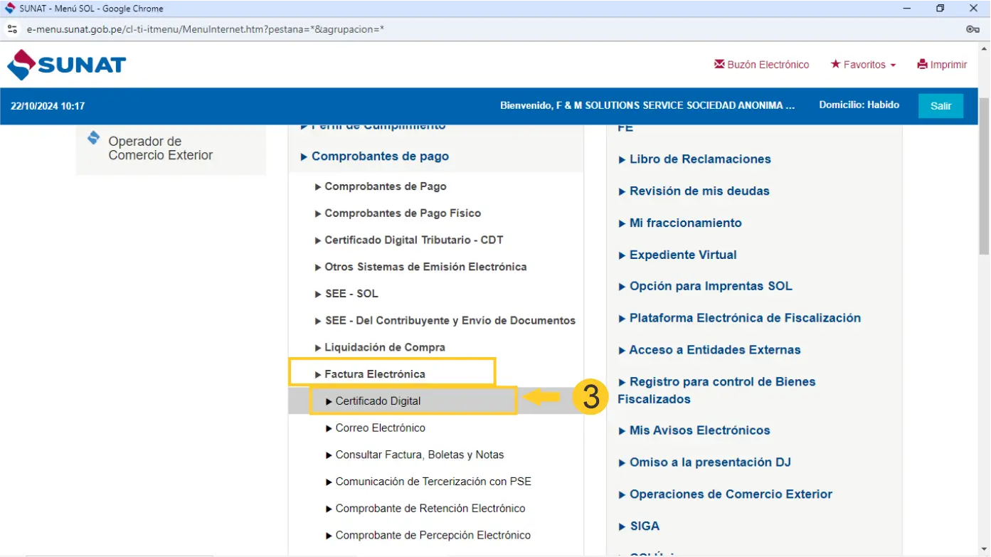 Subir Certificado Digital a SUNAT.